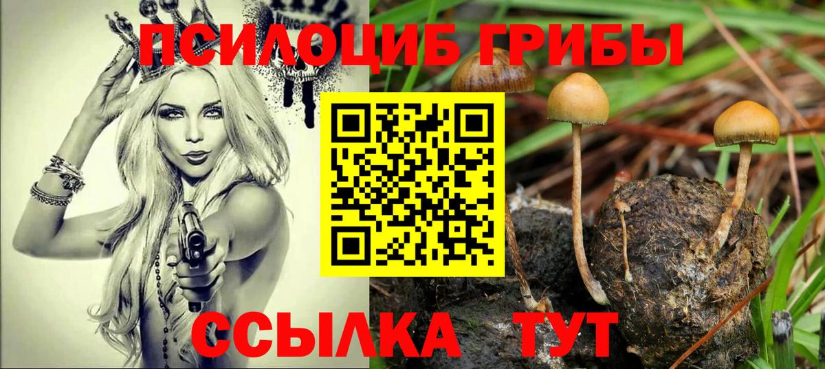 Псилоцибиновые грибы MAGIC MUSHROOMS  Вход с VPN  Черняховск 